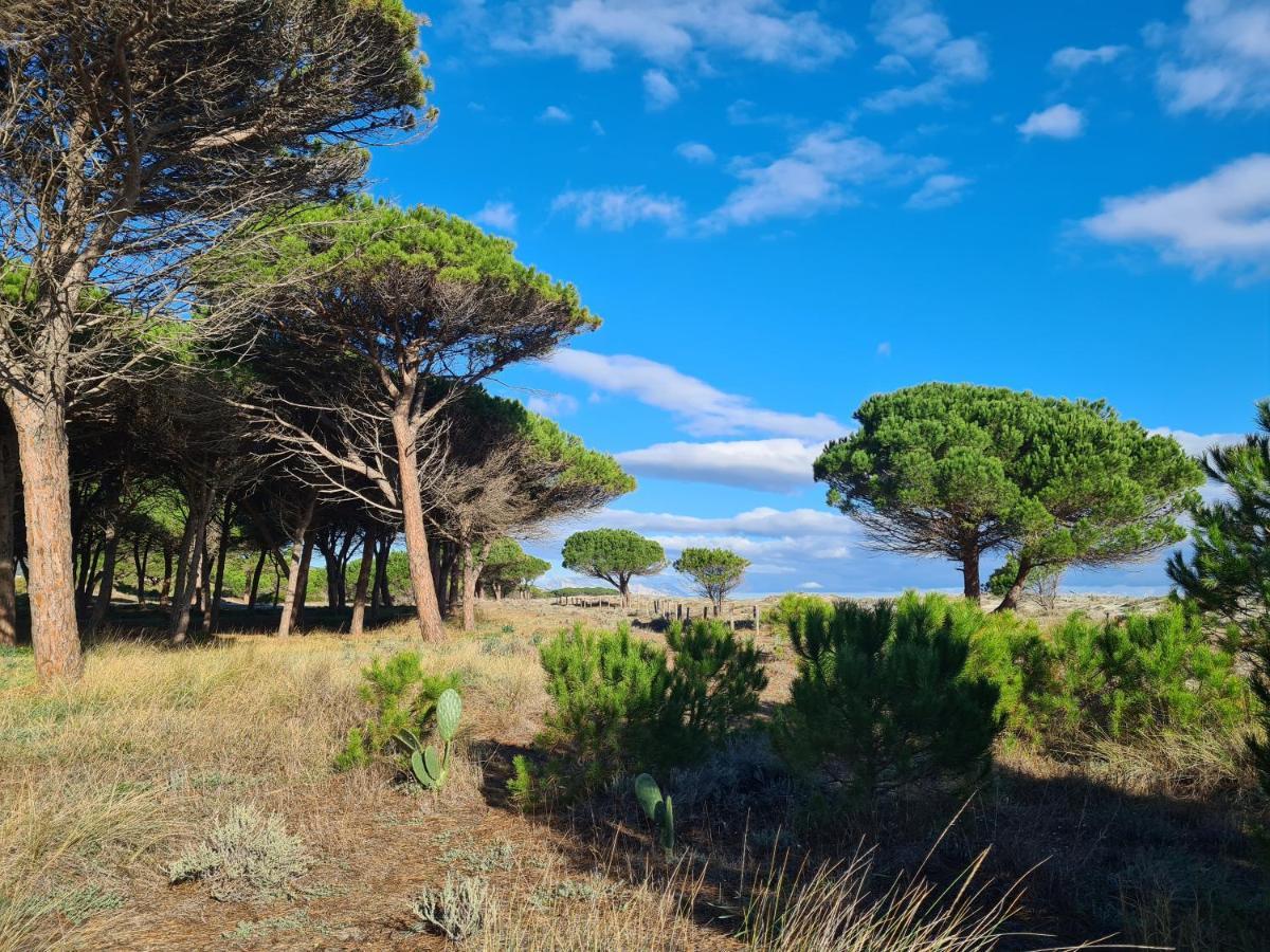 Azienda Agrituristica La Janna Di La Faj Budoni Eksteriør billede