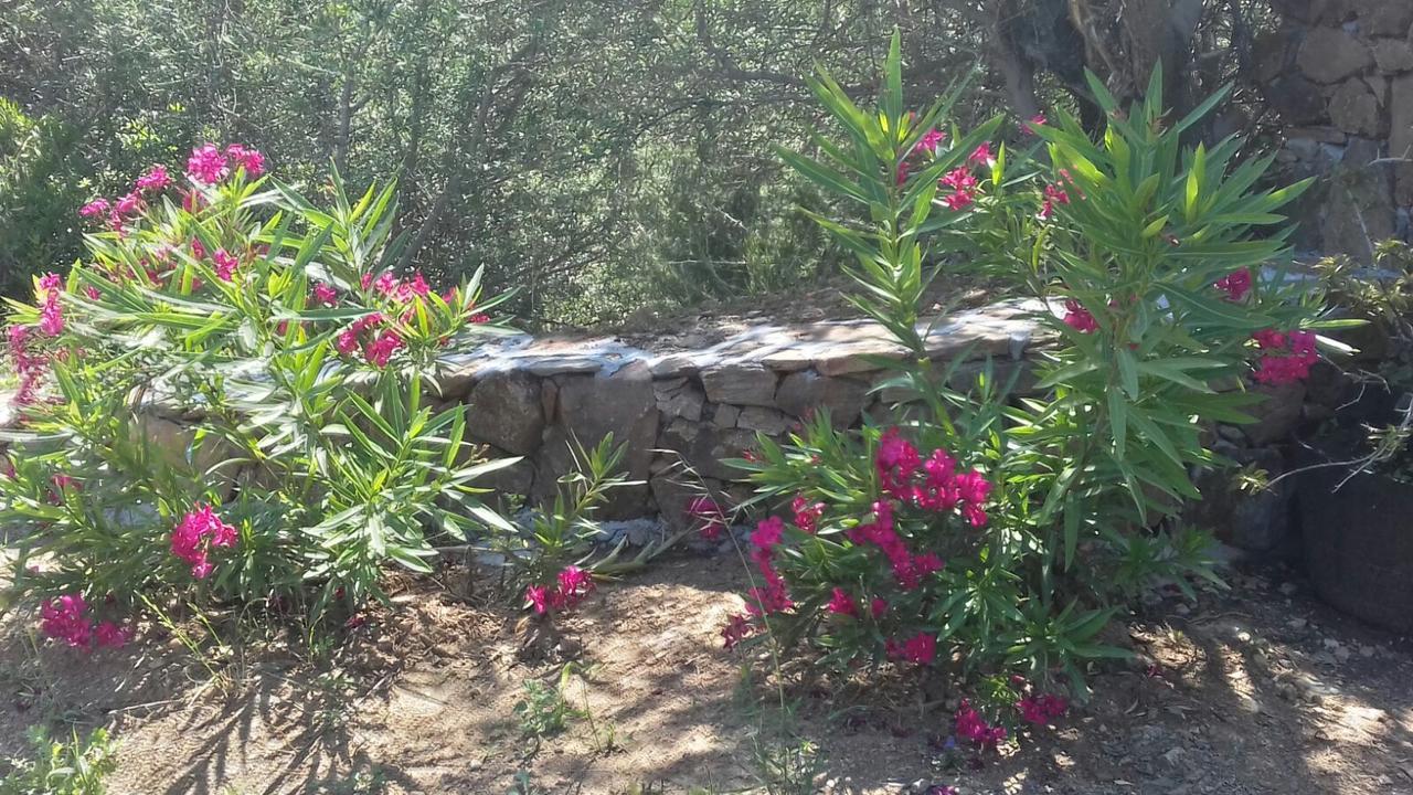 Azienda Agrituristica La Janna Di La Faj Budoni Eksteriør billede