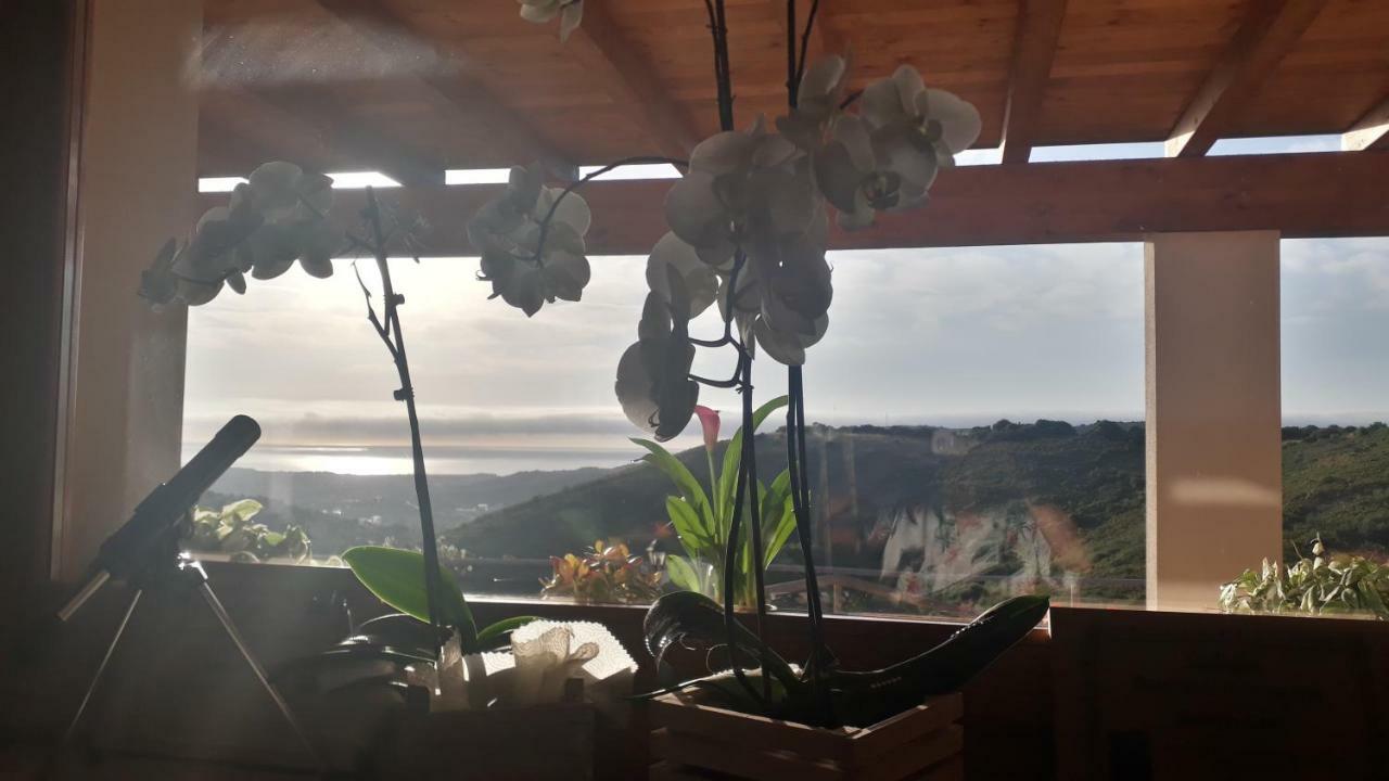 Azienda Agrituristica La Janna Di La Faj Budoni Eksteriør billede